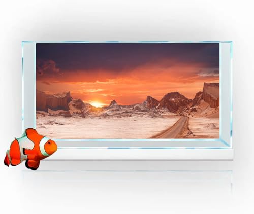 48X18IN Sun and Desert Moon Themed Reptile Habitat on Orange Durable Decorative Background (Moon / 48X18in/120X45cm)