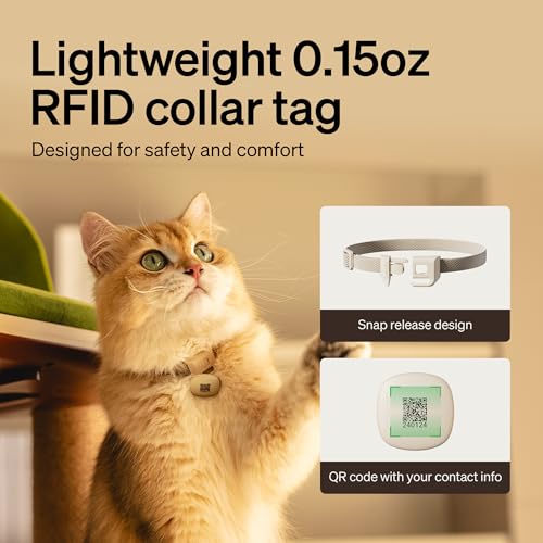 RFID Automatic Cat Feeder (White / 3L (Pack of 1))