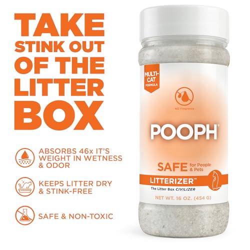Litterizer Cat Litter Odor Eliminator Additive (16 Ounce (Pack of 1))