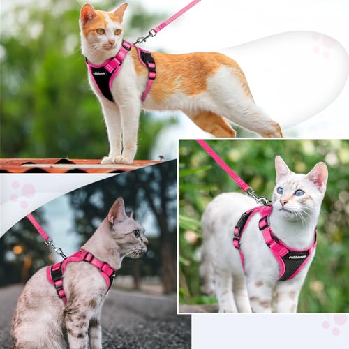 Cat Harness and Leash Set (Black & Rose Pink / Xs)