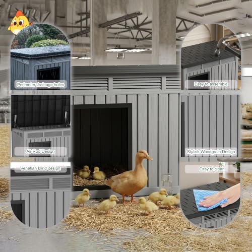 Large Chicken Coop with Hydraulic Air Rod (Grey / 42.9"L x 33.0"W x 31.6"H)