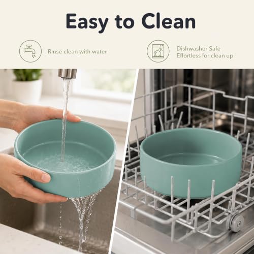 Ceramic Dog Bowls Elevated (Light Green)