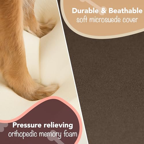 Orthopedic Dog Bed (Memory Foam Dog Bed / Chester Brown / Large (36" x 28" x 9"))