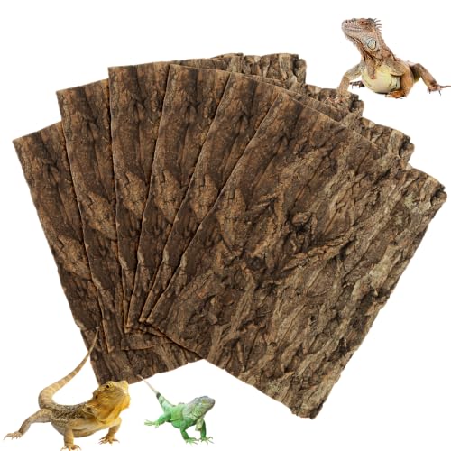 6PCS Cork Terrarium Background 15.7x11.8in for Reptile (6PCS-15.7×11.8in)