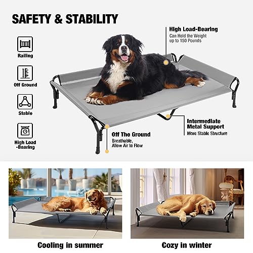 Cooling Elevated Dog Bed (Grey / 62.5"L x 37.0"W x 12.0"Th)
