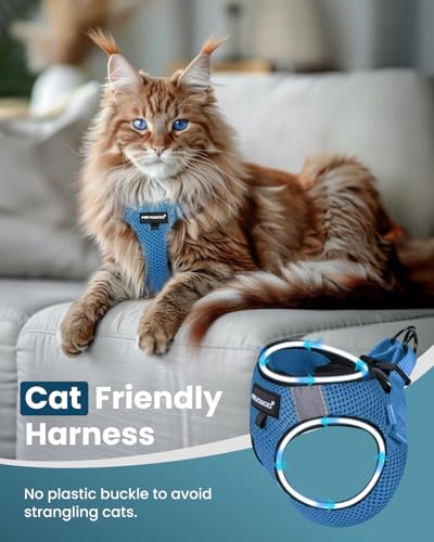 Cat Harness and Leash Set (Tranquil Teal / M(Chest 10-12"))