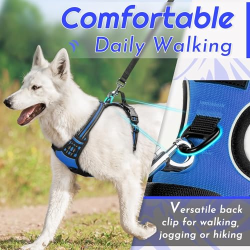 Dog Harness for Small Dogs (Small / Blue)