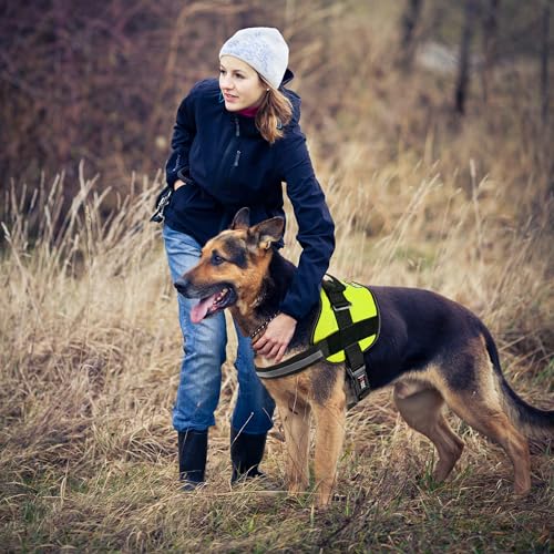Dog Harness Reflective No (Lime Green / Girth 33" to 46")