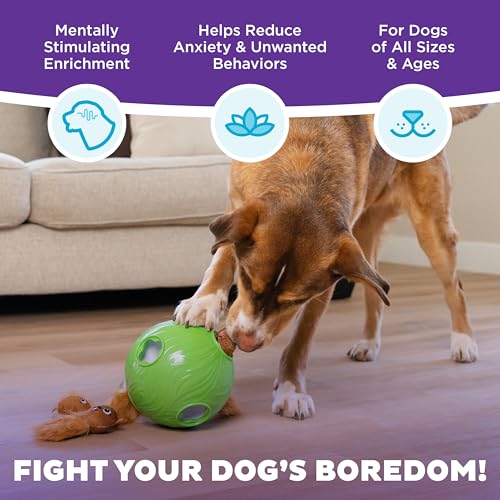by Nina Ottosson Dog Snuffle N' Treat Ball Puzzle (Large)