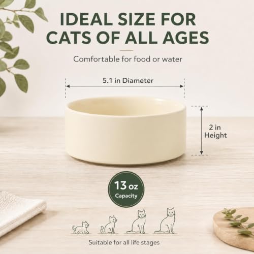 Cat Bowls Set of Two (Light Yellow)