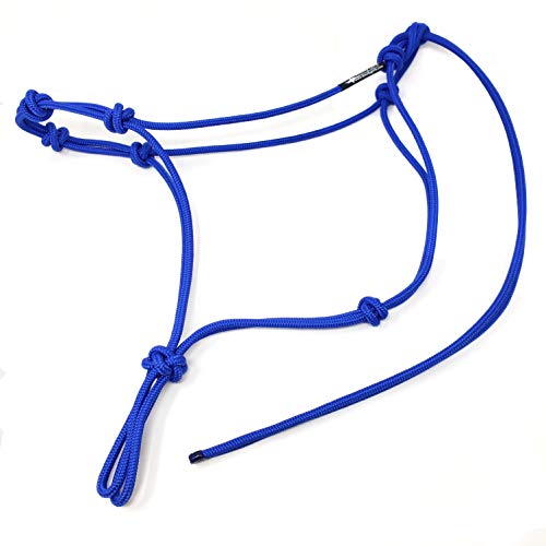 Horse Rope Training Halter (Ultra Marine / Small)