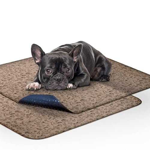 Washable Pee Pads for Dogs (32x30" (2 pack) - pattern)