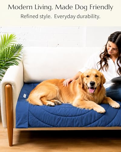 Dog Travel Mat (Blue)