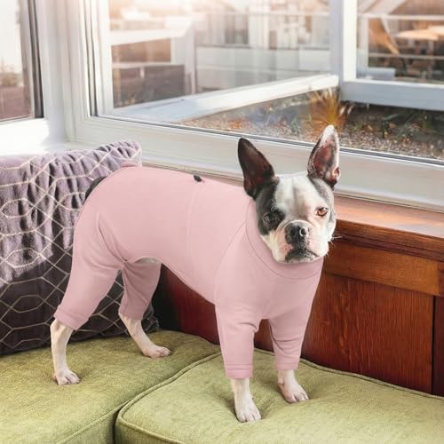 Recovery Suit for Large Dogs (Pink / 2XL)