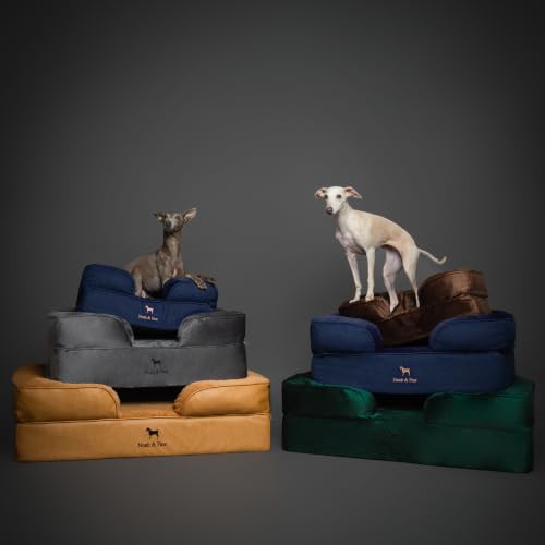 Large Dog Bed (Green - LE / X-Large)