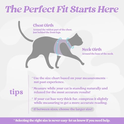Cat Harness and Leash Set (M / Light Purple)