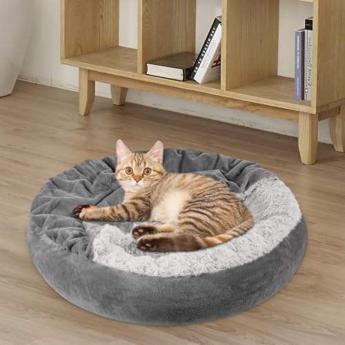 Small Dog Bed Cat Bed with Hooded Blanket (M(26" x 26" x 8") / Dark Grey)