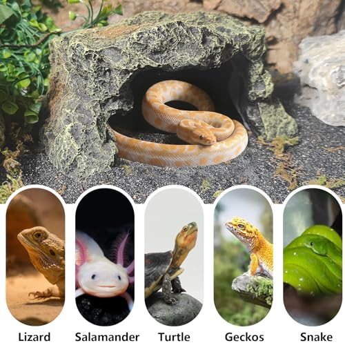 Reptile Hideout Rock