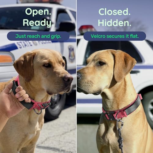 Premium Tactical Dog Collar (Pink / M: Fits Neck 14.5"-18.5")
