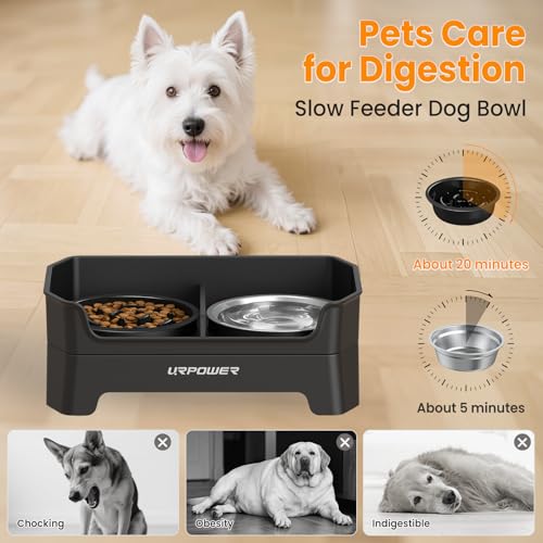 3-in-1 Elevated Dog Bowls with Slow Feeder & Licking Plate (Matte Black / Large)