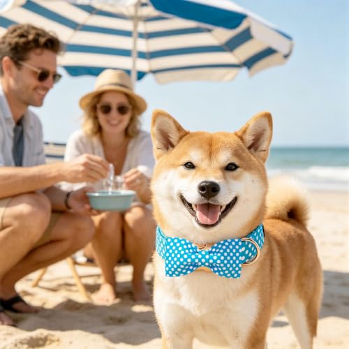 Pet Collar Blue & White Polka Dot Dog Collar with Bow (Blue White Dot / Medium (Pack of 1))