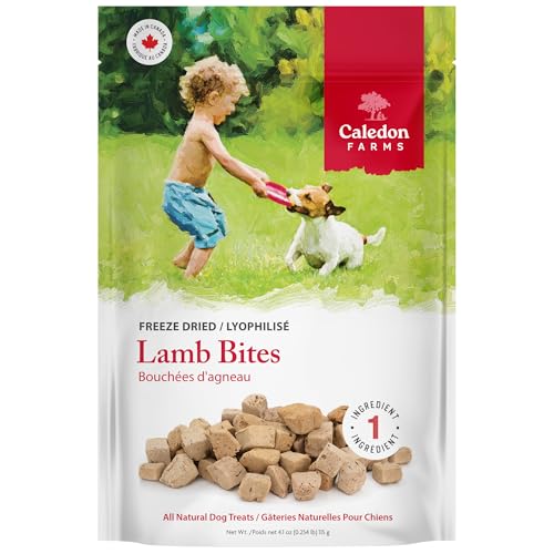 Freeze Dried Bites (4.1 Ounce (Pack of 1))