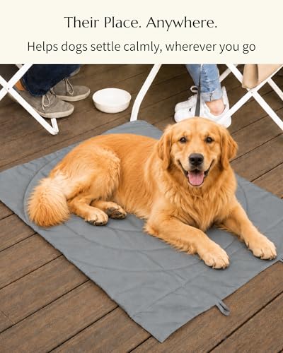 Dog Travel Mat (Grey)