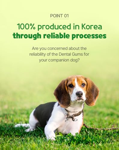 SSOMDALPET Chap Chap Dental Gum for Dogs (10.58 Ounce (Pack of 1))