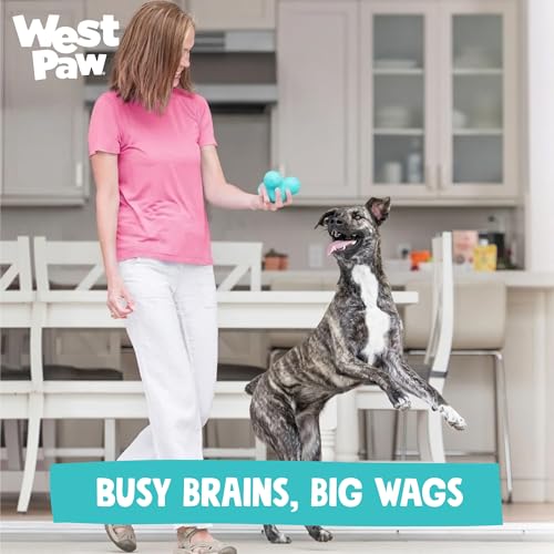Zogoflex Tux Treat Dispensing Dog Chew Toy (Geranium / Large)