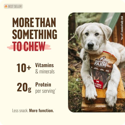 Braided Collagen Chews for Dogs (12" Braided - 2 Count)