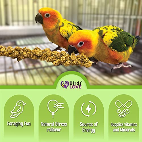 2lbs French Kissed Spray Millet for Birds (2lb)