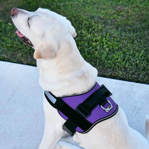 Dog Harness Reflective No (Purple / Girth 15" to 18")