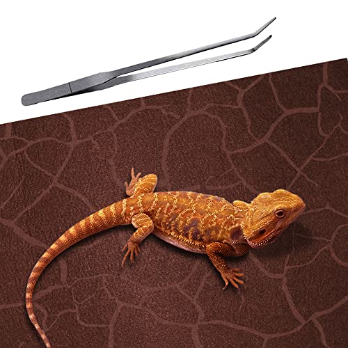2 Pack Reptile Carpet Desert Reptile Mat & Reversible Substrate (20 Gallon)