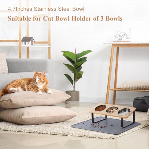 Stainless Steel Raised Cat Food Bowl for 3 Bowls