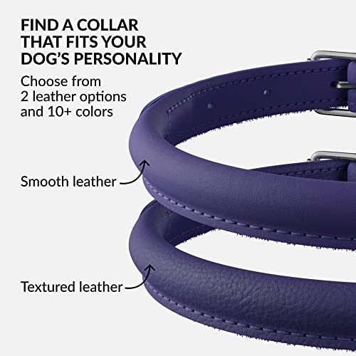 Tangle Free Rolled Leather Dog Collar (Purple / XXL)