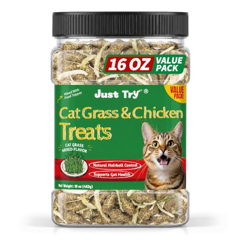 Cat Grass Jerky Treats for Indoor Cats (1 Pound (Pack of 1))