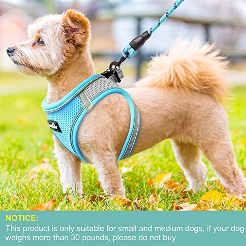 Dog Harness with Leash Set (M / Grey / Blue)