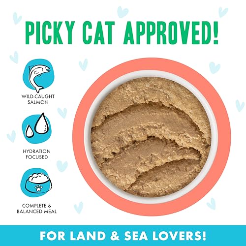 B.F.F. Play Best Feline Friend Paté Lovers (5.5 Ounce (Pack of 8))