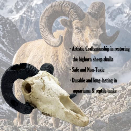 Fish Aquarium Tank Hideout Décor Decorations Dinosaur Skull Fish Tank Decor Cave Skull Betta Animal Halloween Large Reptile Bones Snake for Terrarium Ornament (Horned Sheep)