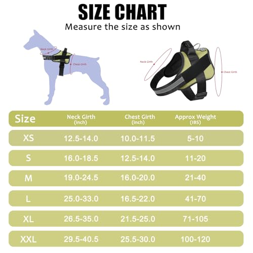 Dog Harness No (Small (Pack of 1) / Matcha)