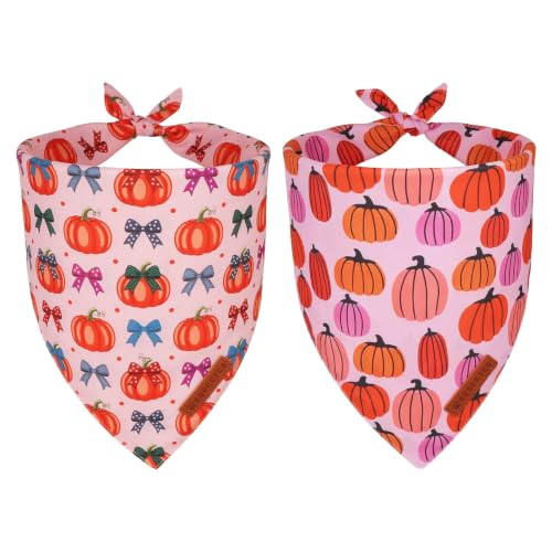 Fall Dog Bandanas Girl (X-Large / Pink Pumpkin)