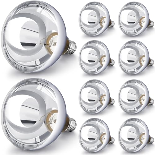 10 Pack Heat Lamp Bulbs 250 Watt (Silver)