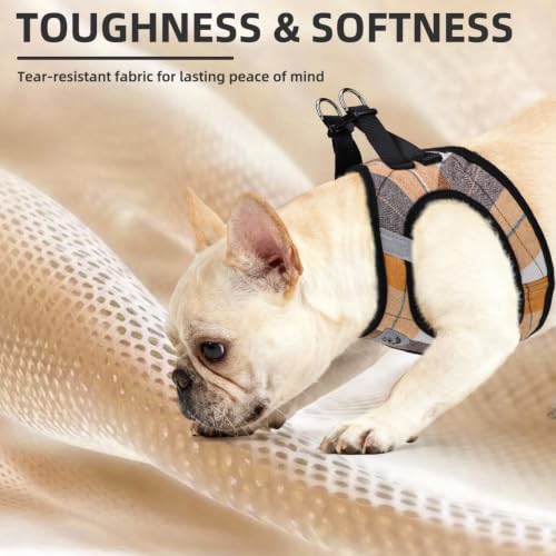 Dog Harness Collar and Leash Set No Pull for Small Medium Sized (Orange / S (CHEST 14.5"-16"))