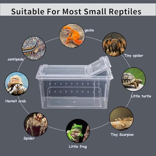 Reptile Feeding Box 8 PCS Snake Breeding Box Reptile Transport Container 7.48"x4.92"x2.95" Portable Habitat Plastic Cricket Keeper Cage for Lizard Spider Scorpion Gecko Tortoise Treefrog