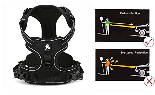 Truelove No Pull Dog Harness with Easy Control Handle and 2 Leash Attachments (Small / Black)