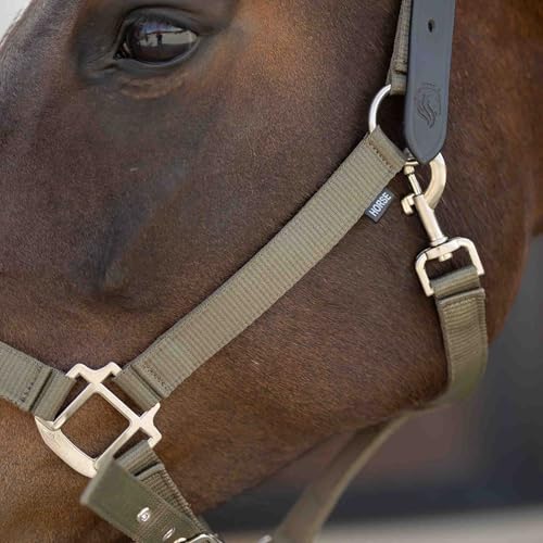 Loki Nylon Horse Halter (Light Olive / Cob)