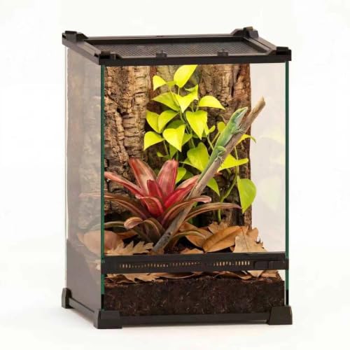 10"x10"x14" Reptile Terrarium