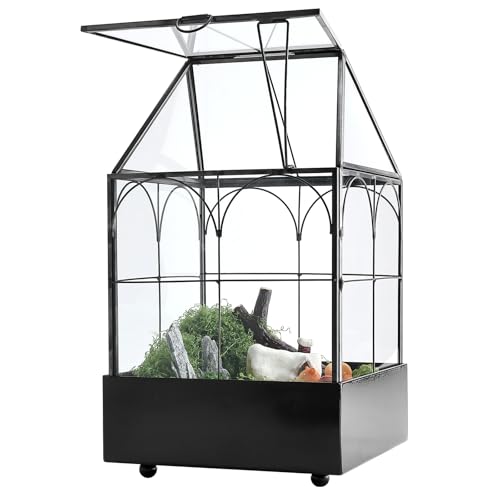 Glass Terrarium with Metal Tray (Small-5.9"L x 5.9"W x 10.2"H)
