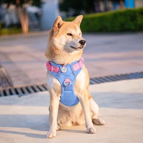 No Pull Dog Harness (Baby Blue Base & Pink Straps / Medium)