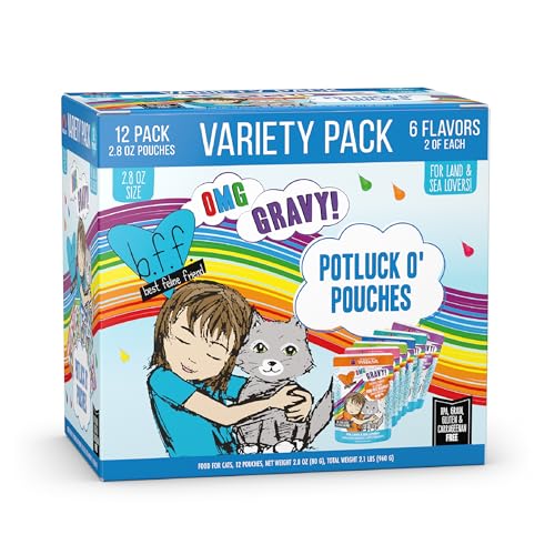 B.F.F. OMG Best Feline Friend Oh My Gravy! (2.8 Ounce (Pack of 12))